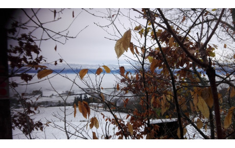 Compte rendu Randonnée du 05/12/2020