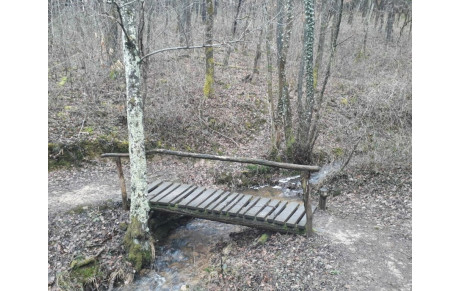 Randonnée Cheminas 14/11